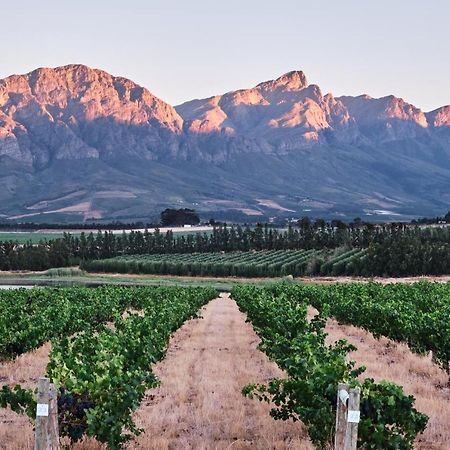 Rijk's Wine Estate&Hotel Tulbagh Buitenkant foto