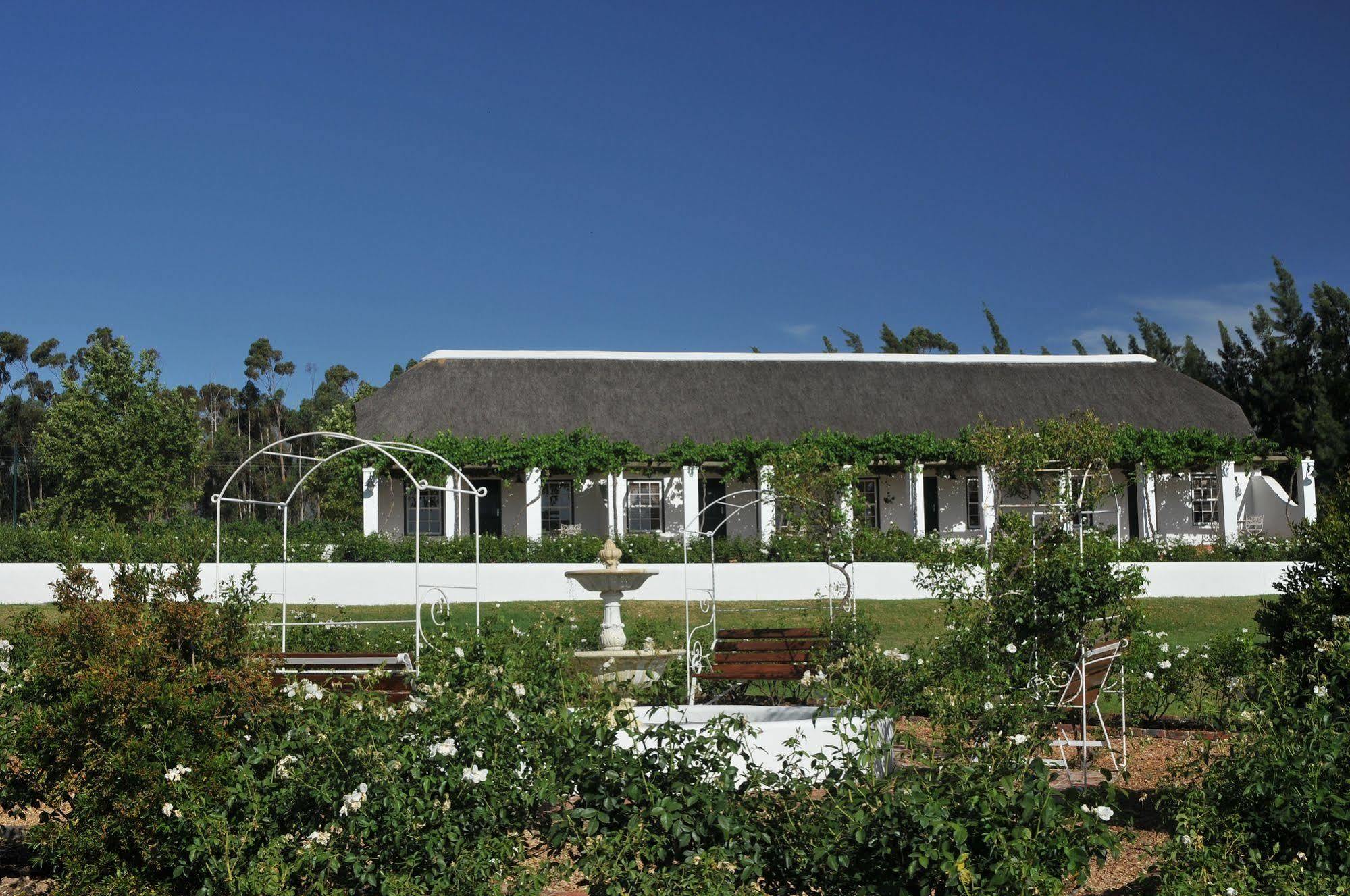 Rijk's Wine Estate&Hotel Tulbagh Buitenkant foto